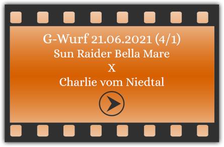Video G-Wurf 21.06.2021