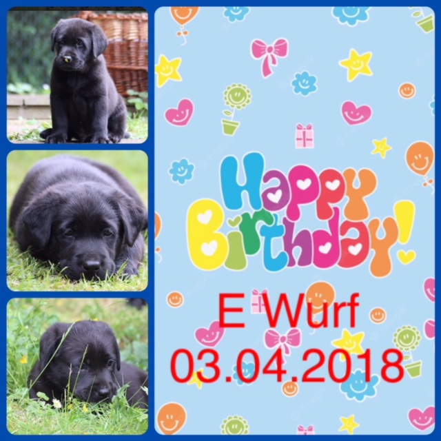 Happy-Birthday E-Wurf!