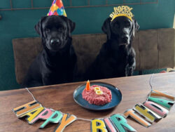 Enno und Henry vom Niedtal